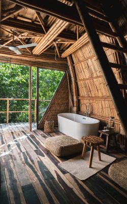 Bamboo suite